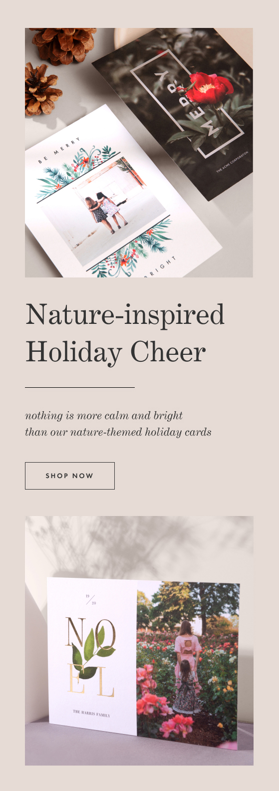 Nature Themed Holiday Cards