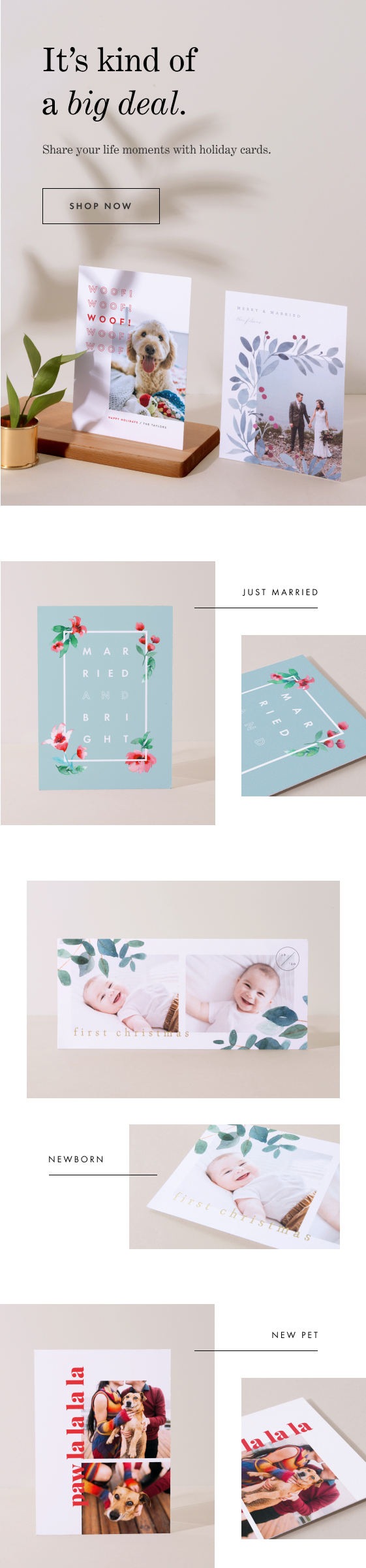 Holiday Cards for all Milestones