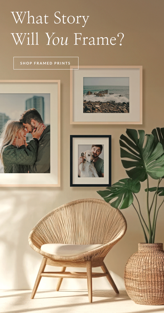 Framed Prints